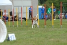 Agilityturnier am 30.06.2007 _887