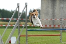 Agilityturnier am 30.06.2007 _889