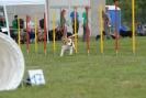Agilityturnier am 30.06.2007 _891