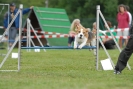 Agilityturnier am 30.06.2007 _893
