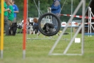Agilityturnier am 30.06.2007 _894