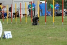 Agilityturnier am 30.06.2007 _895