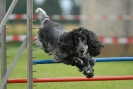Agilityturnier am 30.06.2007 _897