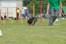 Agilityturnier am 30.06.2007 _898