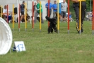 Agilityturnier am 30.06.2007 _899