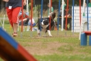 Agilityturnier am 30.06.2007 _89