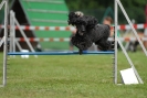 Agilityturnier am 30.06.2007 _900