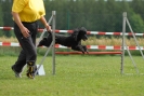 Agilityturnier am 30.06.2007 _901