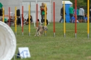 Agilityturnier am 30.06.2007 _904