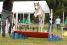 Agilityturnier am 30.06.2007 _90