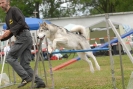 Agilityturnier am 30.06.2007 _92
