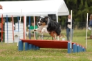 Agilityturnier am 30.06.2007 _94