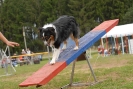 Agilityturnier am 30.06.2007 _95
