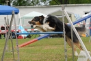 Agilityturnier am 30.06.2007 _96