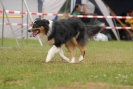 Agilityturnier am 30.06.2007 _97