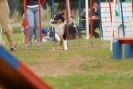 Agilityturnier am 30.06.2007 _98