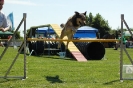 Bayerische Meisterschaft Agility am 02.07.2006 _102