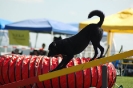 Bayerische Meisterschaft Agility am 02.07.2006 _104