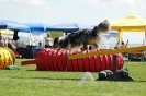 Bayerische Meisterschaft Agility am 02.07.2006 _107