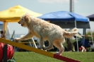 Bayerische Meisterschaft Agility am 02.07.2006 _179