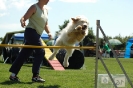 Bayerische Meisterschaft Agility am 02.07.2006 _180