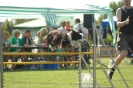 Bayerische Meisterschaft Agility am 02.07.2006 _185