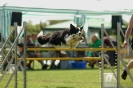 Bayerische Meisterschaft Agility am 02.07.2006 
