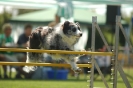 Bayerische Meisterschaft Agility am 02.07.2006 _276