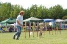 Bayerische Meisterschaft Agility am 02.07.2006 _351