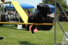 Bayerische Meisterschaft Agility am 02.07.2006 _379
