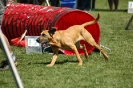 Bayerische Meisterschaft Agility am 02.07.2006 _435