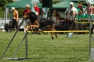 Bayerische Meisterschaft Agility am 02.07.2006 _437