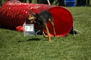 Bayerische Meisterschaft Agility am 02.07.2006 _438