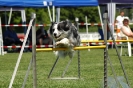 Bayerische Meisterschaft Agility am 02.07.2006 _450