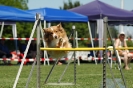 Bayerische Meisterschaft Agility am 02.07.2006 _460