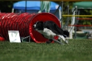 Bayerische Meisterschaft Agility am 02.07.2006 _483
