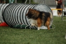 Bayerische Meisterschaft Agility am 02.07.2006 _518