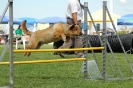 Bayerische Meisterschaft Agility am 02.07.2006 _529