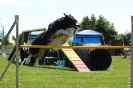 Bayerische Meisterschaft Agility am 02.07.2006 _98
