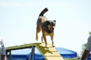 Bayerische Meisterschaft Agility am 02.07.2006 _99