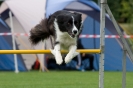 Bundessiegerprüfung Agility am 21.06.2009 _102