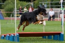 Bundessiegerprüfung Agility am 21.06.2009 _103