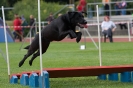 Bundessiegerprüfung Agility am 21.06.2009 _105