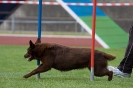 Bundessiegerprüfung Agility am 21.06.2009 _106