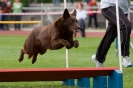 Bundessiegerprüfung Agility am 21.06.2009 _107