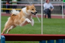 Bundessiegerprüfung Agility am 21.06.2009 _110