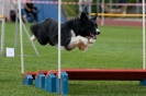 Bundessiegerprüfung Agility am 21.06.2009 _113