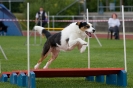 Bundessiegerprüfung Agility am 21.06.2009 _116