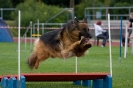 Bundessiegerprüfung Agility am 21.06.2009 _117