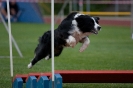 Bundessiegerprüfung Agility am 21.06.2009 _118